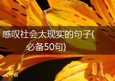 感叹社会太现实的句子(必备50句)