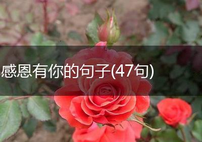 感恩有你的句子(47句)