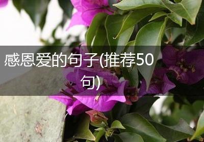 感恩爱的句子(推荐50句)