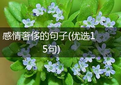 感情奢侈的句子(优选15句)
