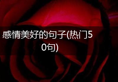 感情美好的句子(热门50句)