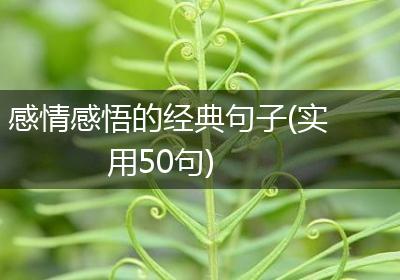 感情感悟的经典句子(实用50句)