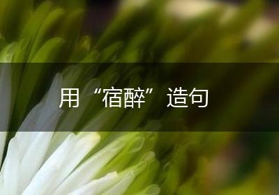 用“宿醉”造句