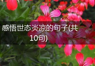 感悟世态炎凉的句子(共10句)