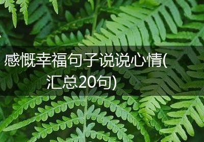 感慨幸福句子说说心情(汇总20句)