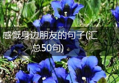 感慨身边朋友的句子(汇总50句)