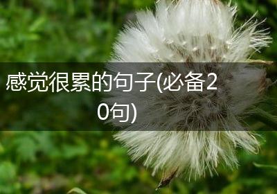 感觉很累的句子(必备20句)