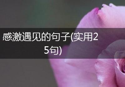 感激遇见的句子(实用25句)
