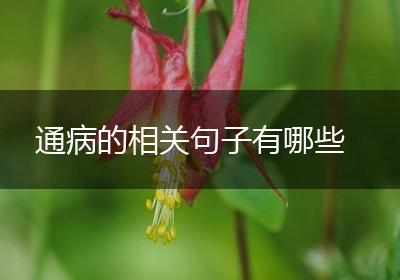 通病的相关句子有哪些