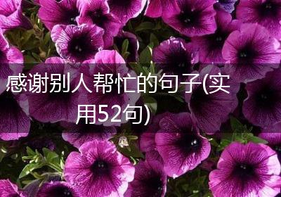 感谢别人帮忙的句子(实用52句)