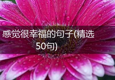 感觉很幸福的句子(精选50句)