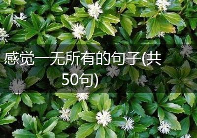 感觉一无所有的句子(共50句)