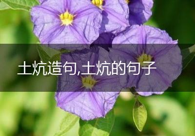 土炕造句,土炕的句子