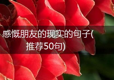 感慨朋友的现实的句子(推荐50句)