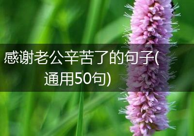 感谢老公辛苦了的句子(通用50句)