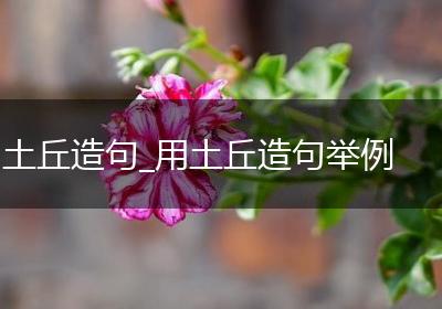 土丘造句_用土丘造句举例