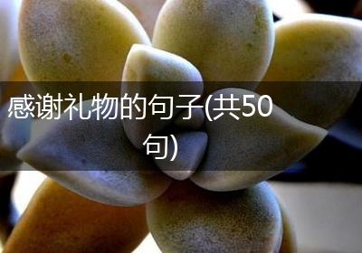 感谢礼物的句子(共50句)