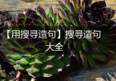 【用搜寻造句】搜寻造句大全