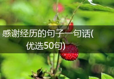 感谢经历的句子一句话(优选50句)