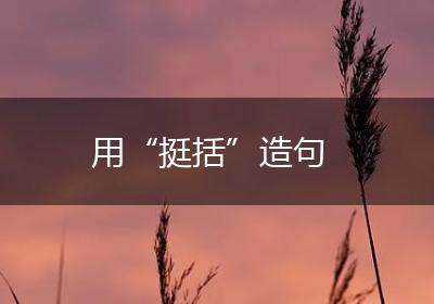 用“挺括”造句