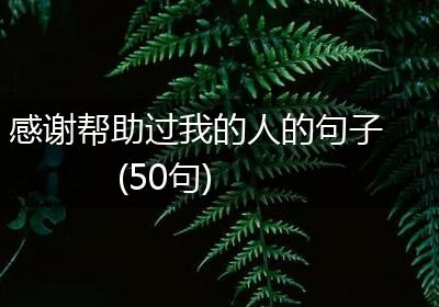 感谢帮助过我的人的句子(50句)