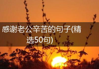 感谢老公辛苦的句子(精选50句)