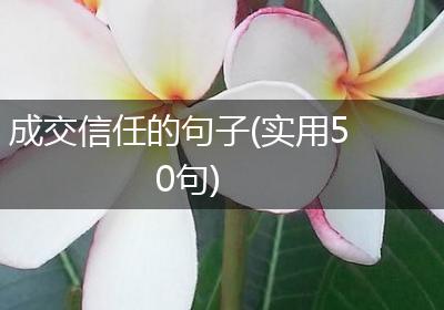 成交信任的句子(实用50句)