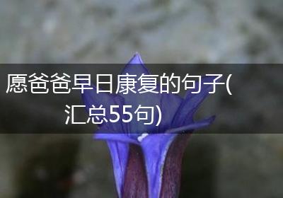 愿爸爸早日康复的句子(汇总55句)