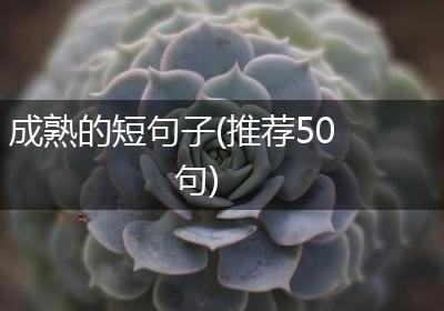 成熟的短句子(推荐50句)