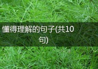 懂得理解的句子(共10句)