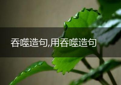 吞噬造句,用吞噬造句