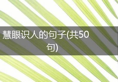 慧眼识人的句子(共50句)