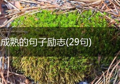 成熟的句子励志(29句)