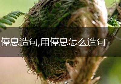 停息造句,用停息怎么造句