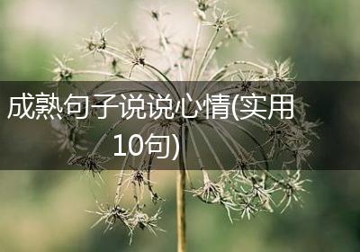 成熟句子说说心情(实用10句)