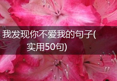 我发现你不爱我的句子(实用50句)