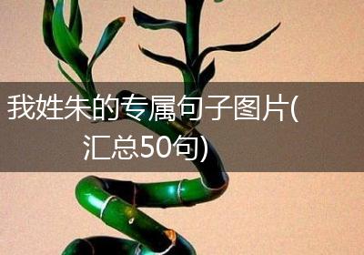 我姓朱的专属句子图片(汇总50句)