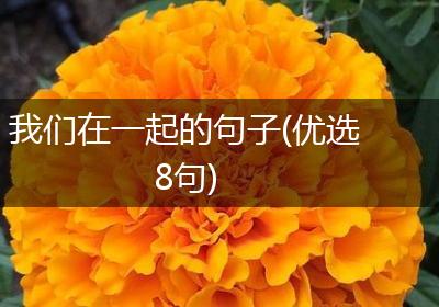 我们在一起的句子(优选8句)