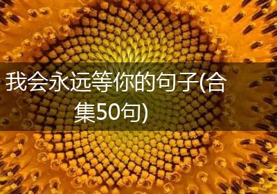 我会永远等你的句子(合集50句)