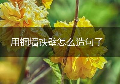 用铜墙铁壁怎么造句子