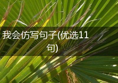我会仿写句子(优选11句)