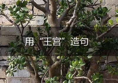 用“王宫”造句