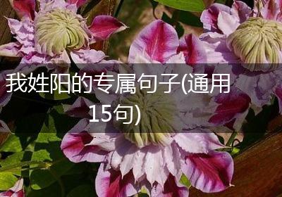我姓阳的专属句子(通用15句)
