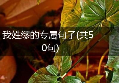 我姓缪的专属句子(共50句)