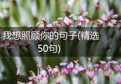我想照顾你的句子(精选50句)