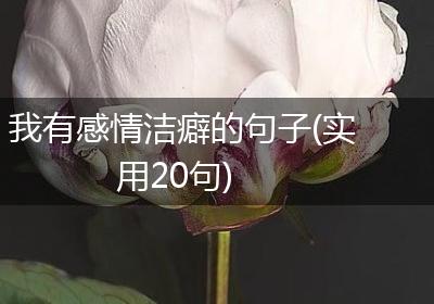 我有感情洁癖的句子(实用20句)