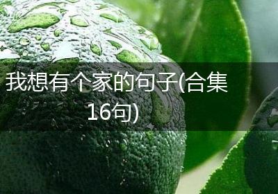 我想有个家的句子(合集16句)