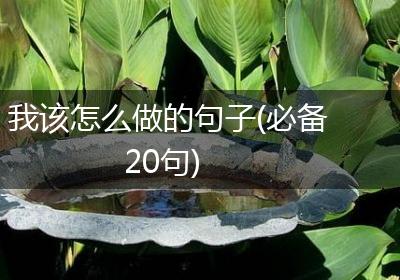 我该怎么做的句子(必备20句)