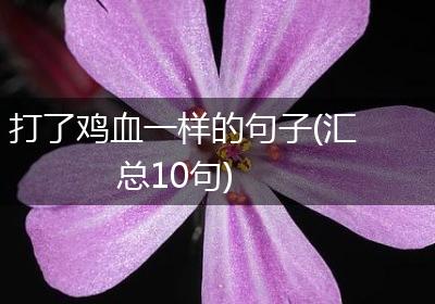 打了鸡血一样的句子(汇总10句)