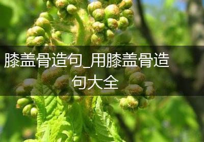 膝盖骨造句_用膝盖骨造句大全